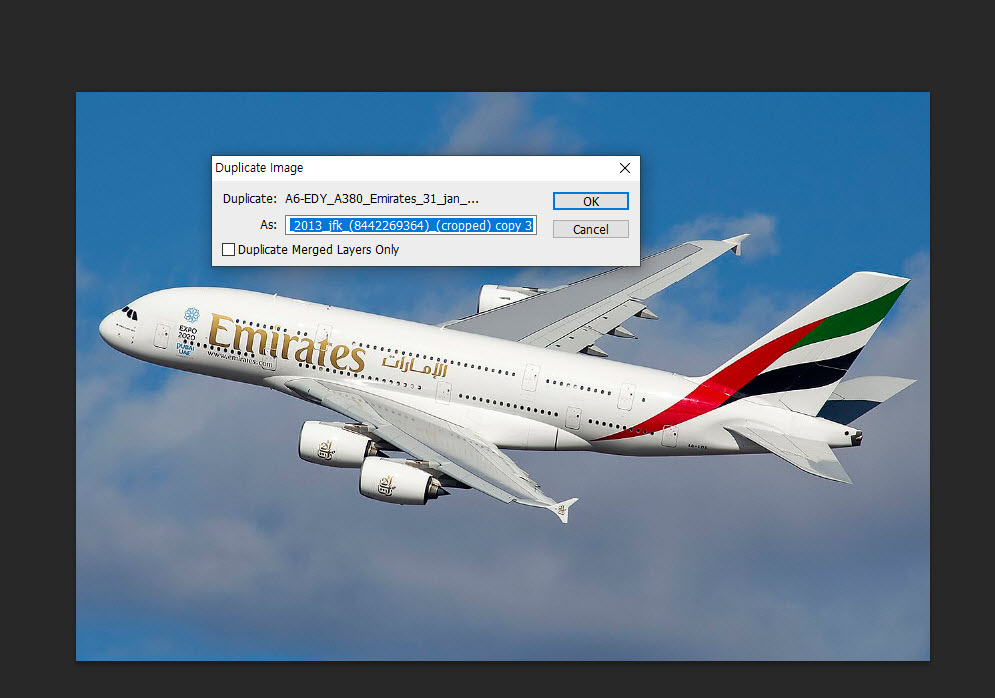 Duplicate your working document in Photoshop