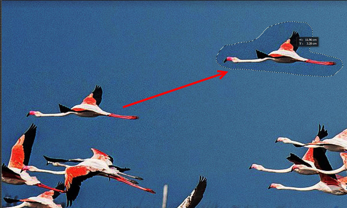 [Photoshop] How to use the Patch Tool